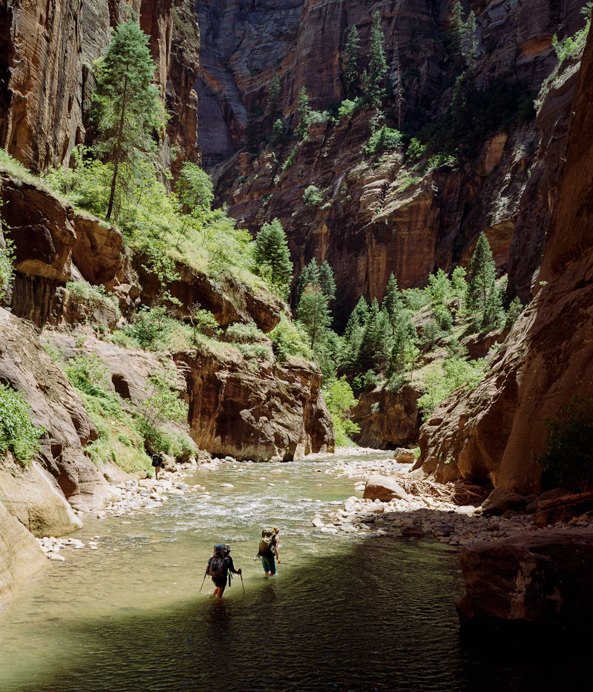 Hikers in the Narrows, Zion National Park, Utah