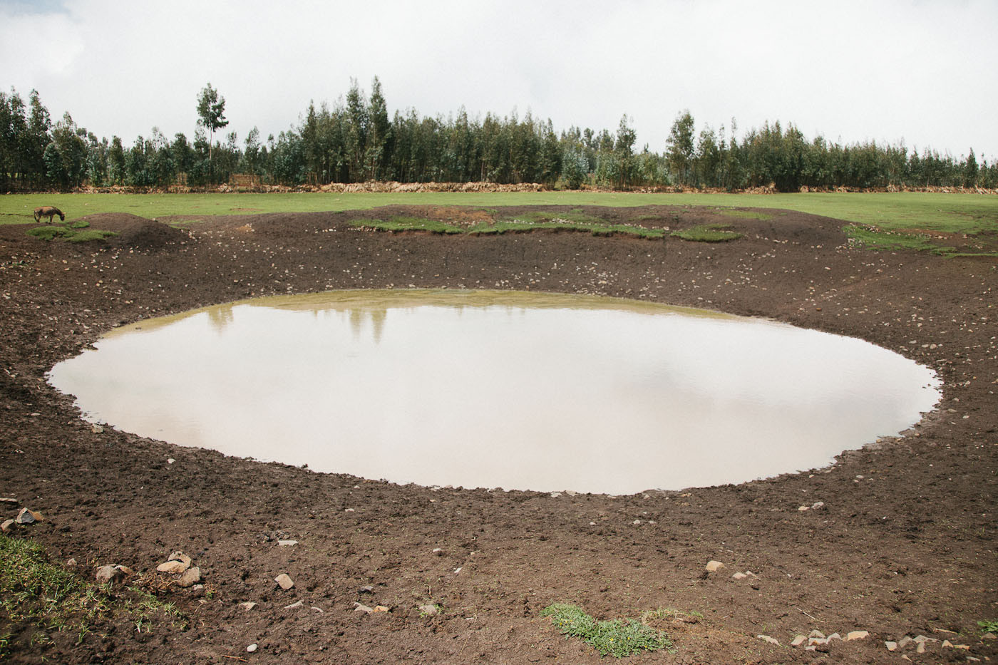 Watering hole in a pasture in Wollo Highlands, Ethiopia