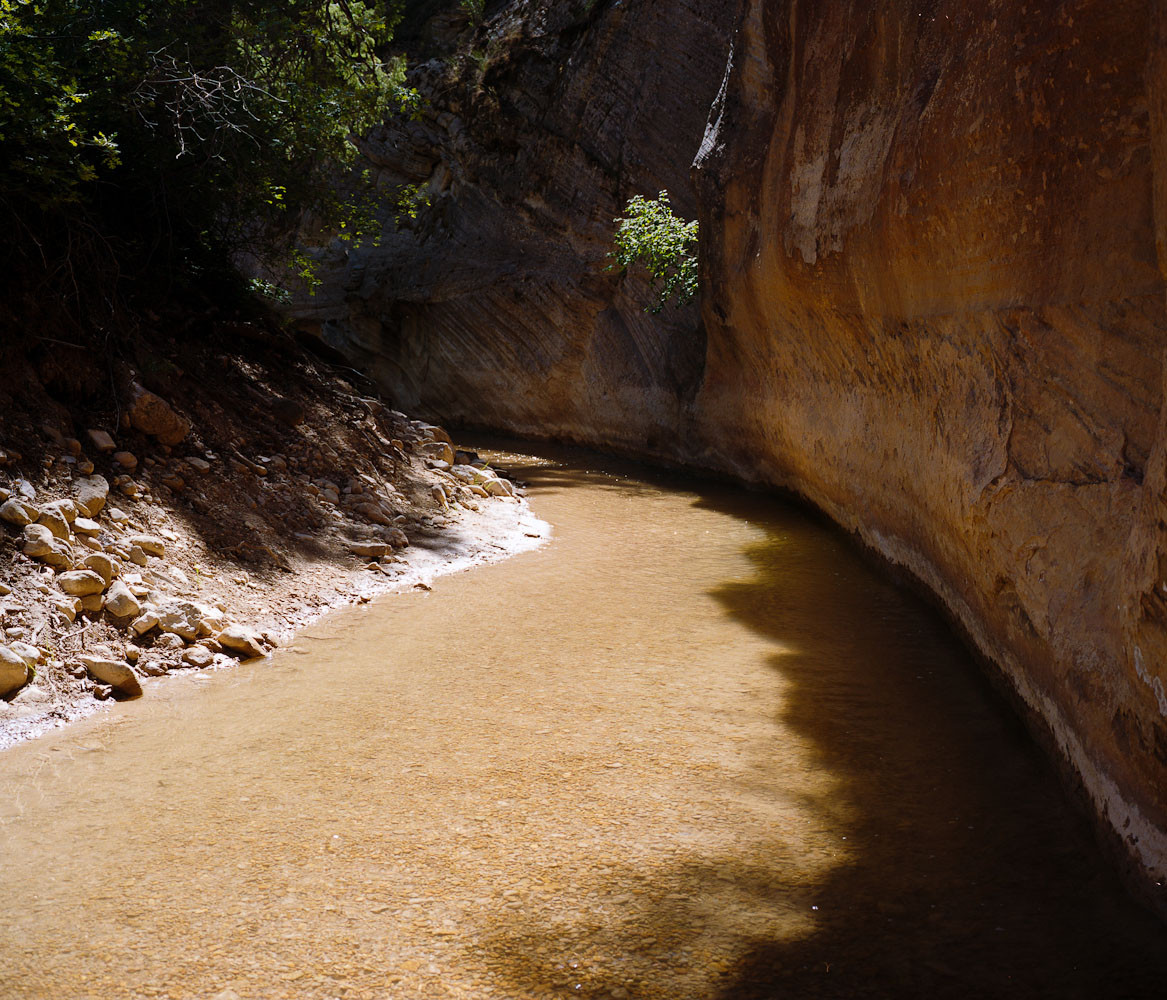 The Virgin River running through the Narrows, Zion National Park, Utah