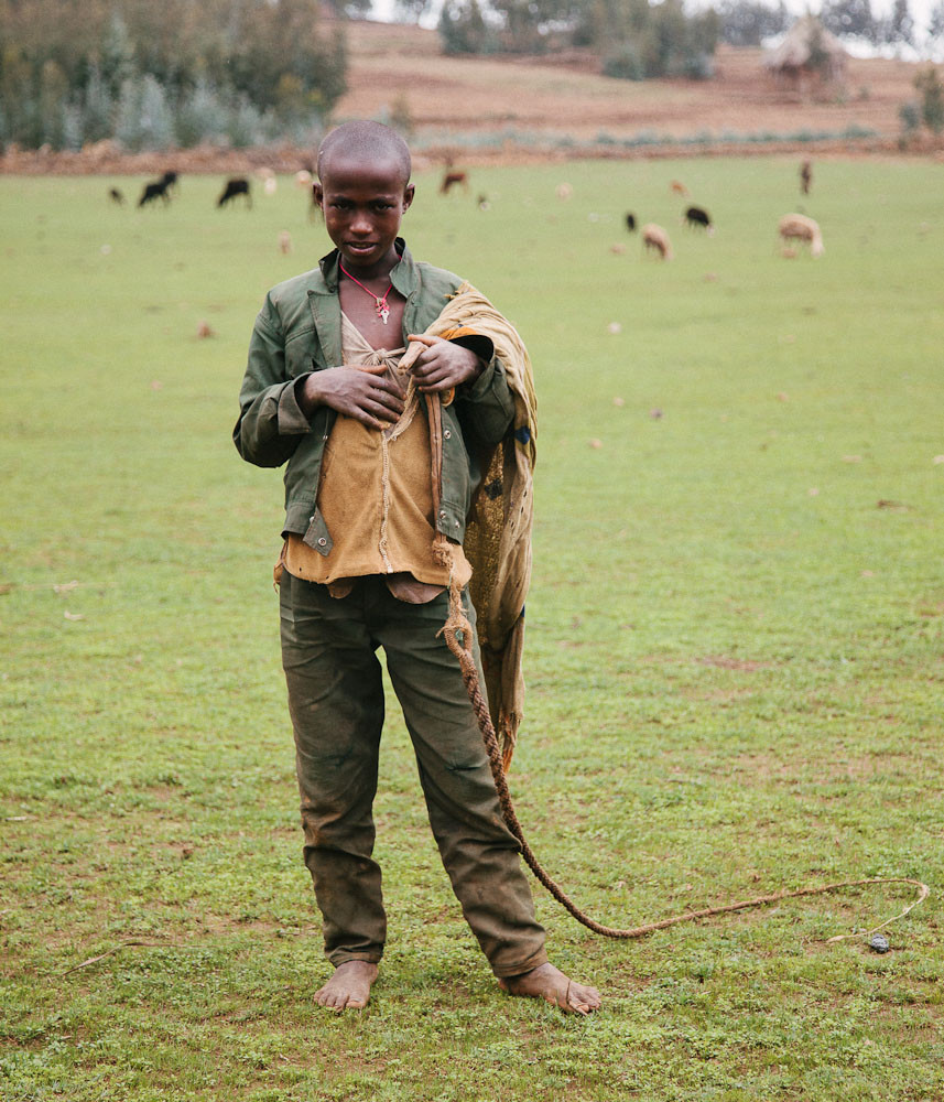 Shepherd in a field in Wollo Highlands, Ethiopia